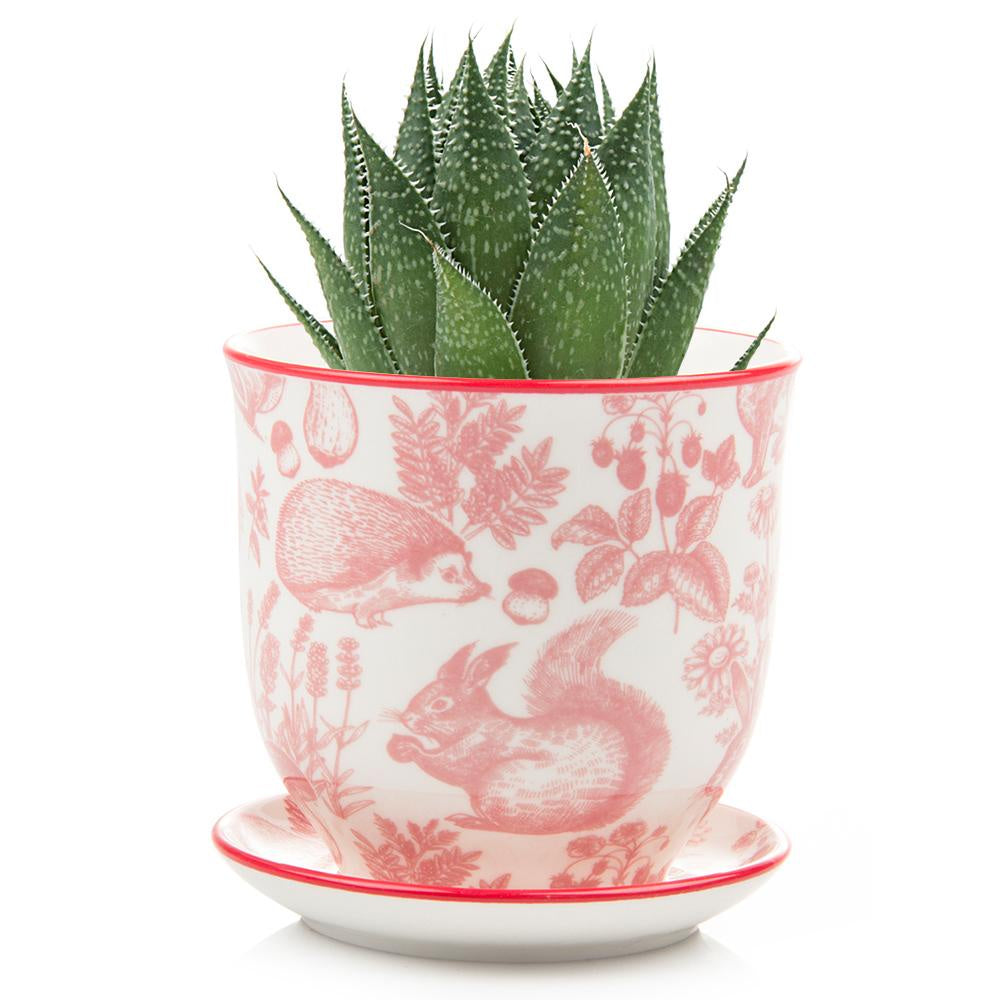 Red Squirrel Liberte Small Pot
