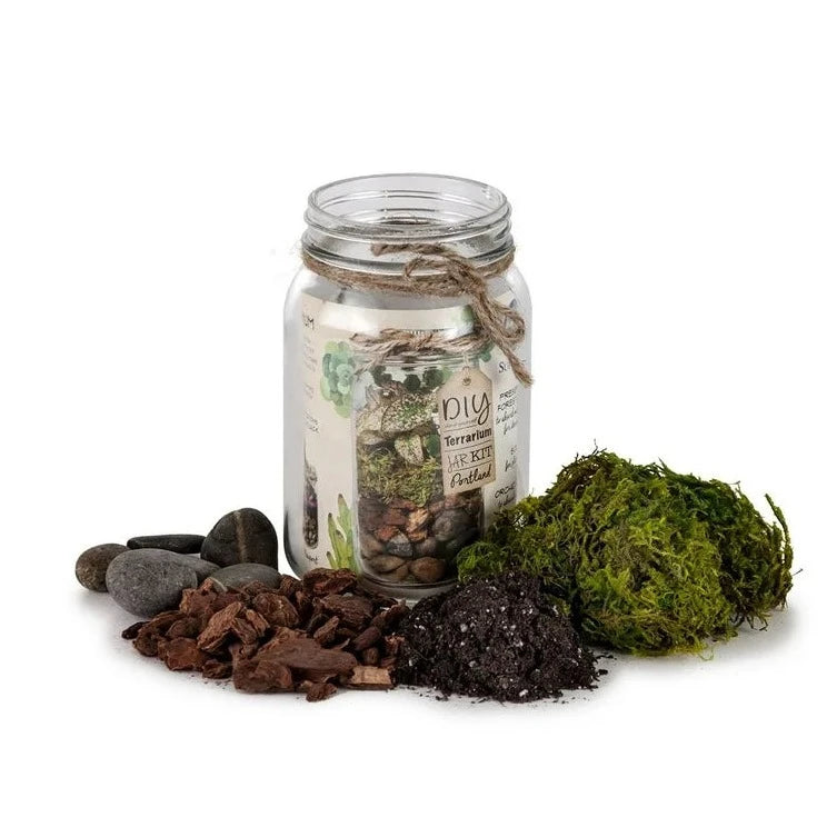 Terrarium Kit DIY Jar