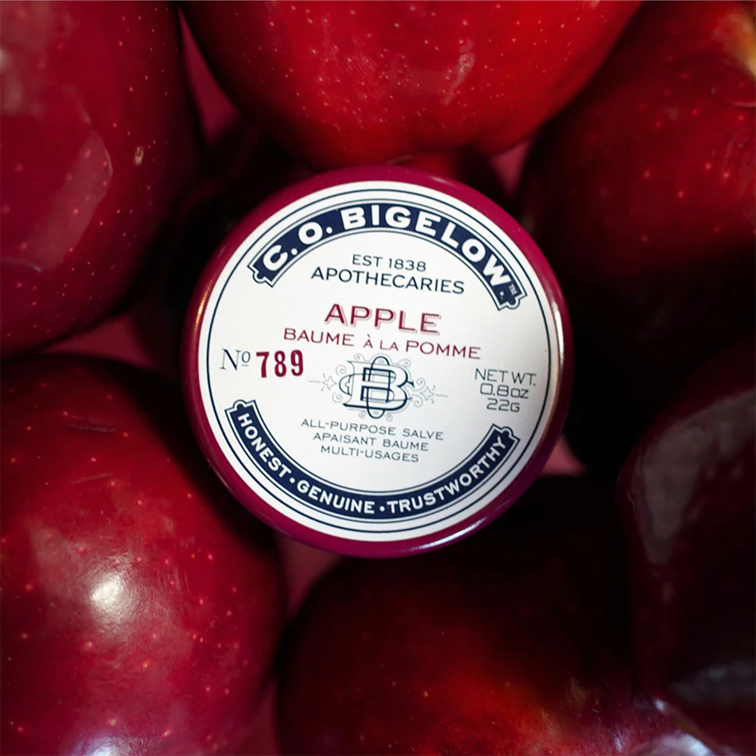 Salve Moisturizer