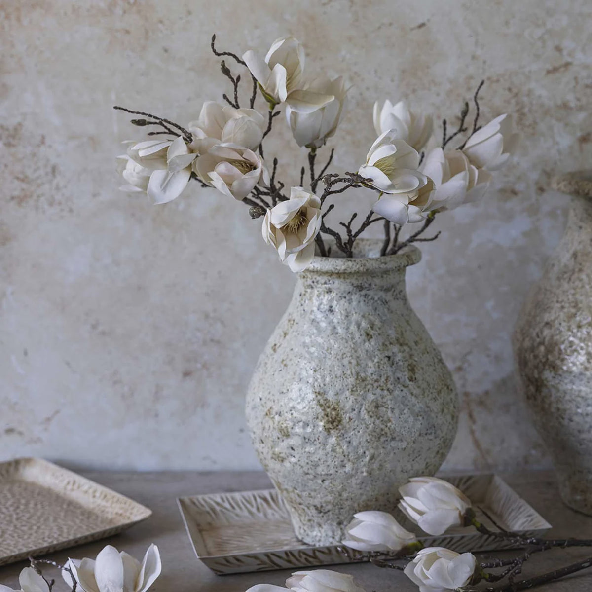Magnolia