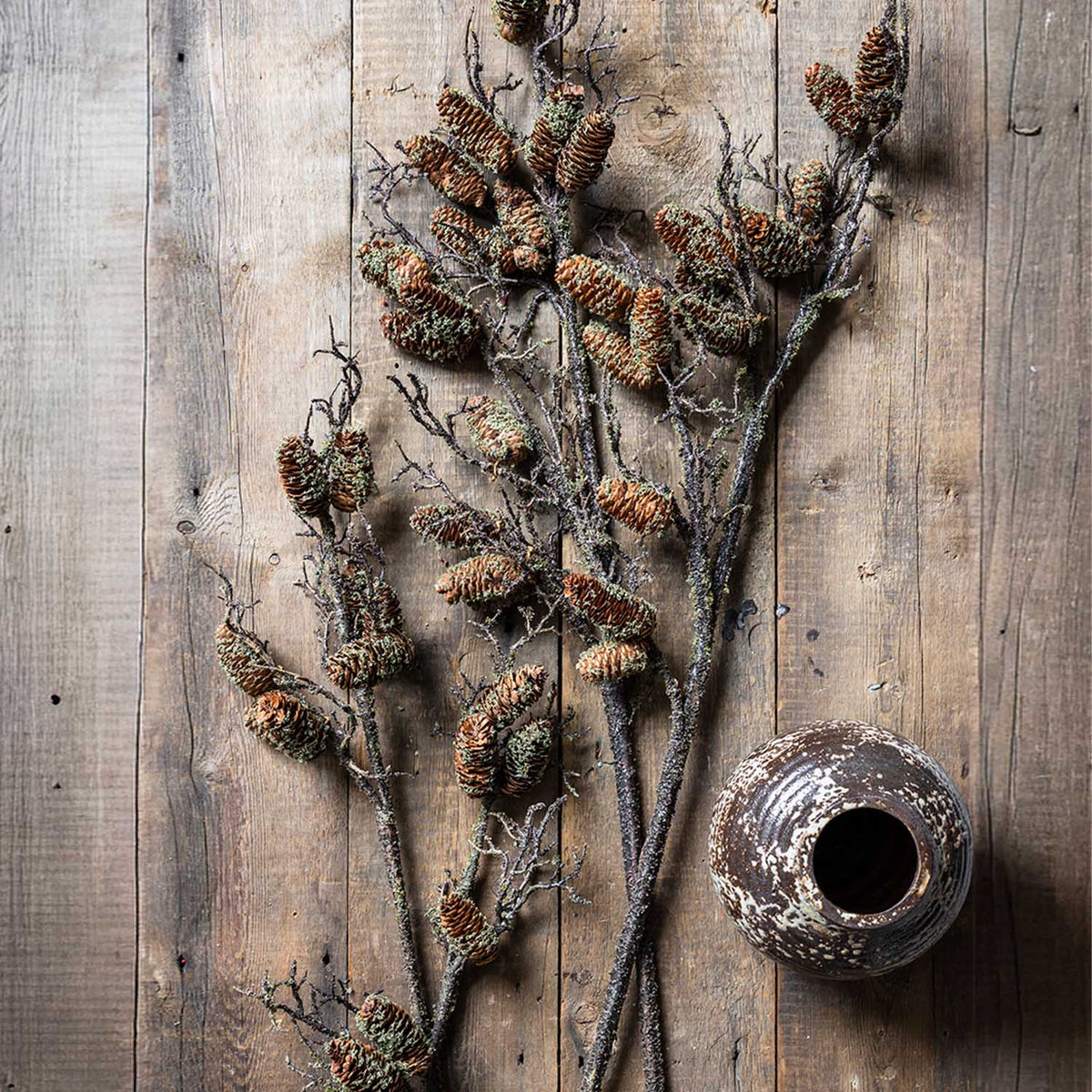Pinecone Branch