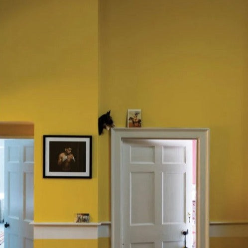 Farrow & Ball Babouche No. 223