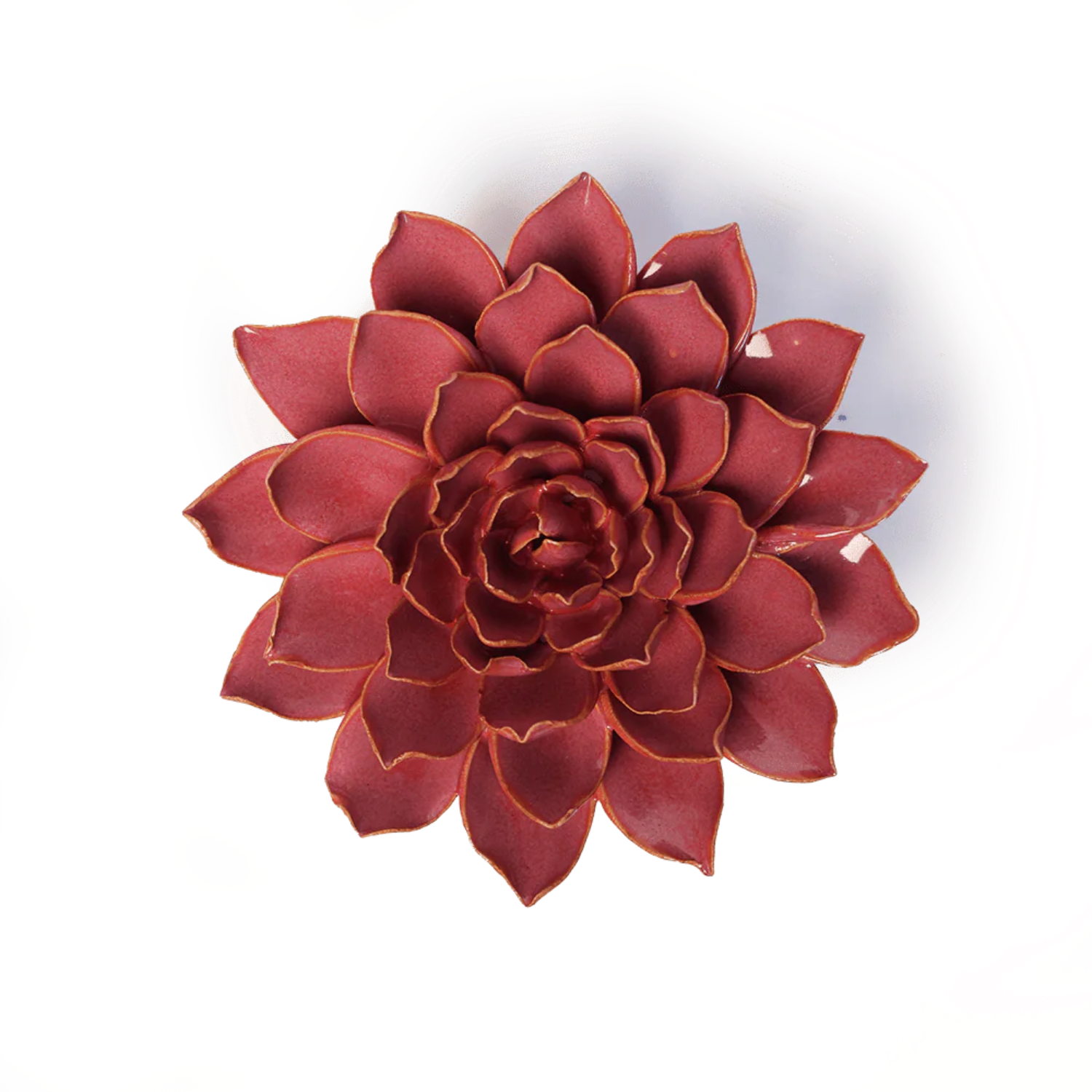 French Blush Madonna Azalea