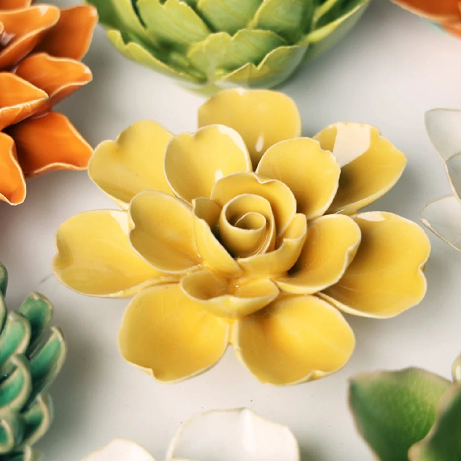 English Garden Yellow Tahitian Gardenia