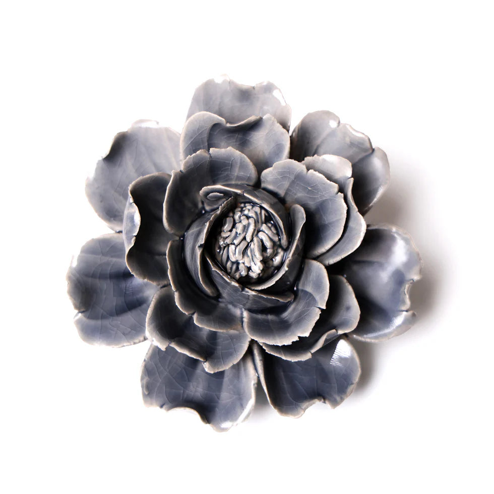 Grey Rose 6