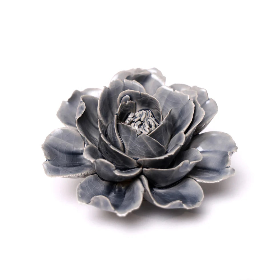 Grey Rose 6