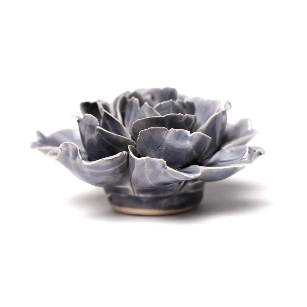 Grey Rose 6