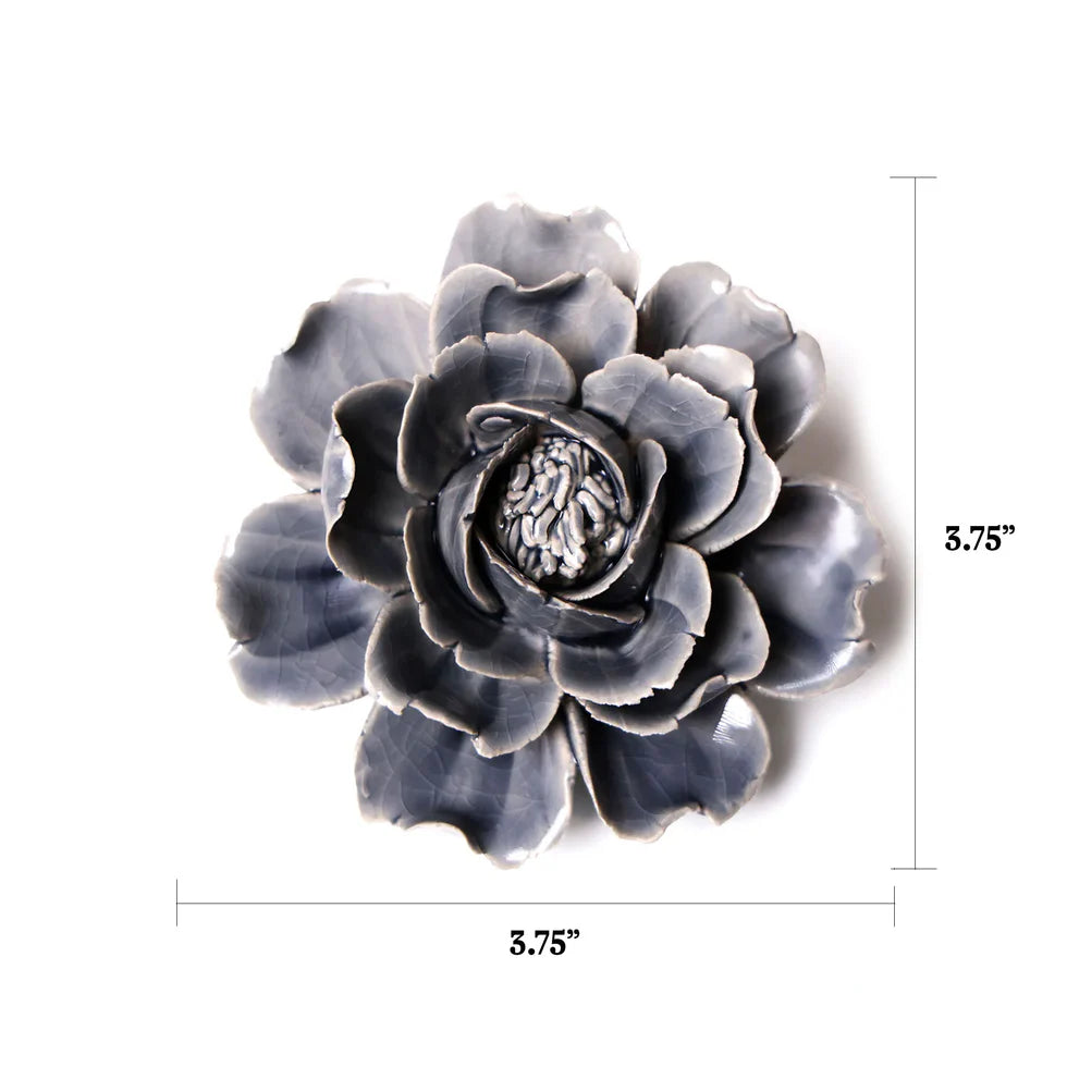 Grey Rose 6