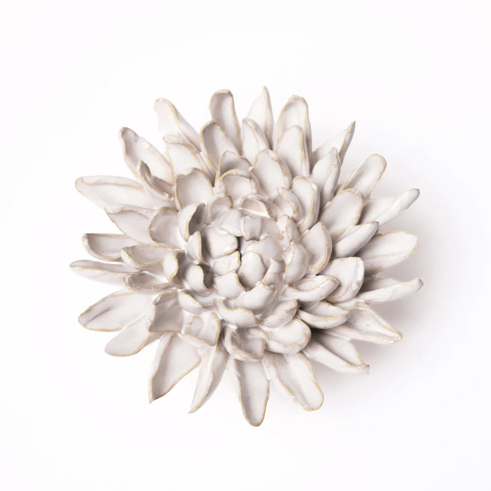 Ivory Chrysanthemum