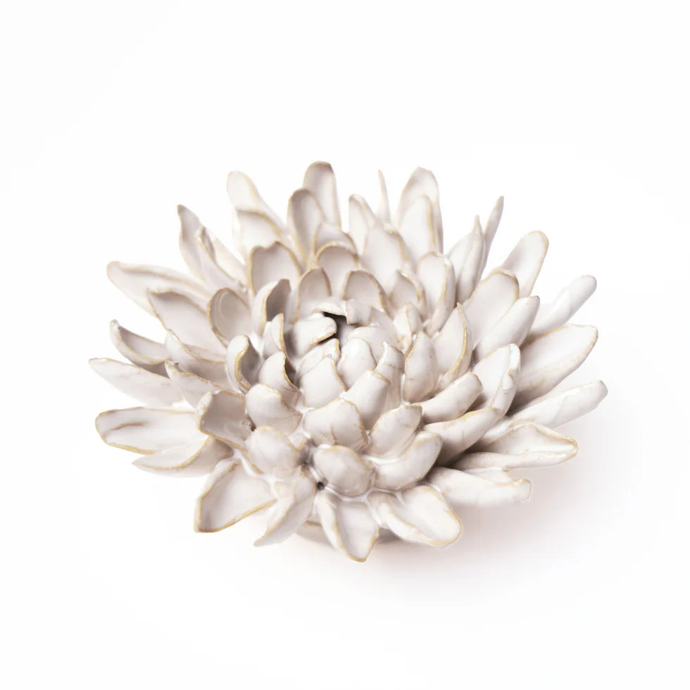 Ivory Chrysanthemum