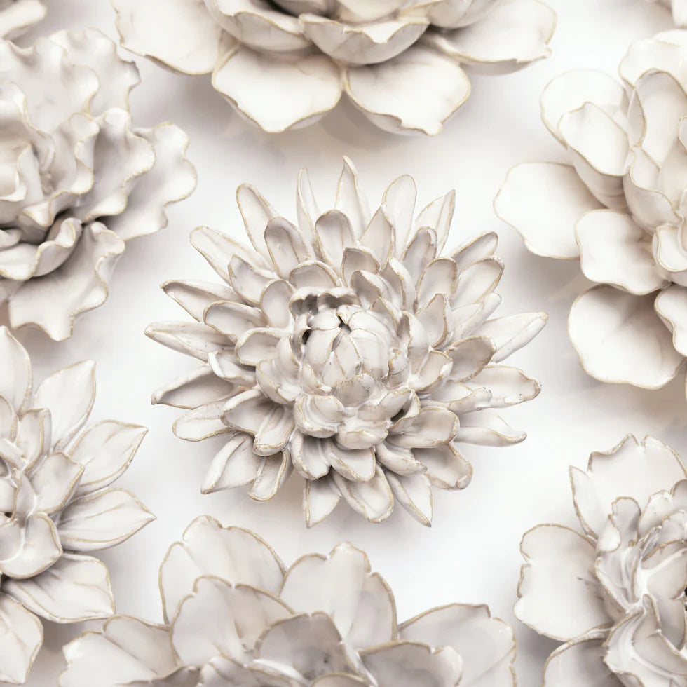 Ivory Chrysanthemum