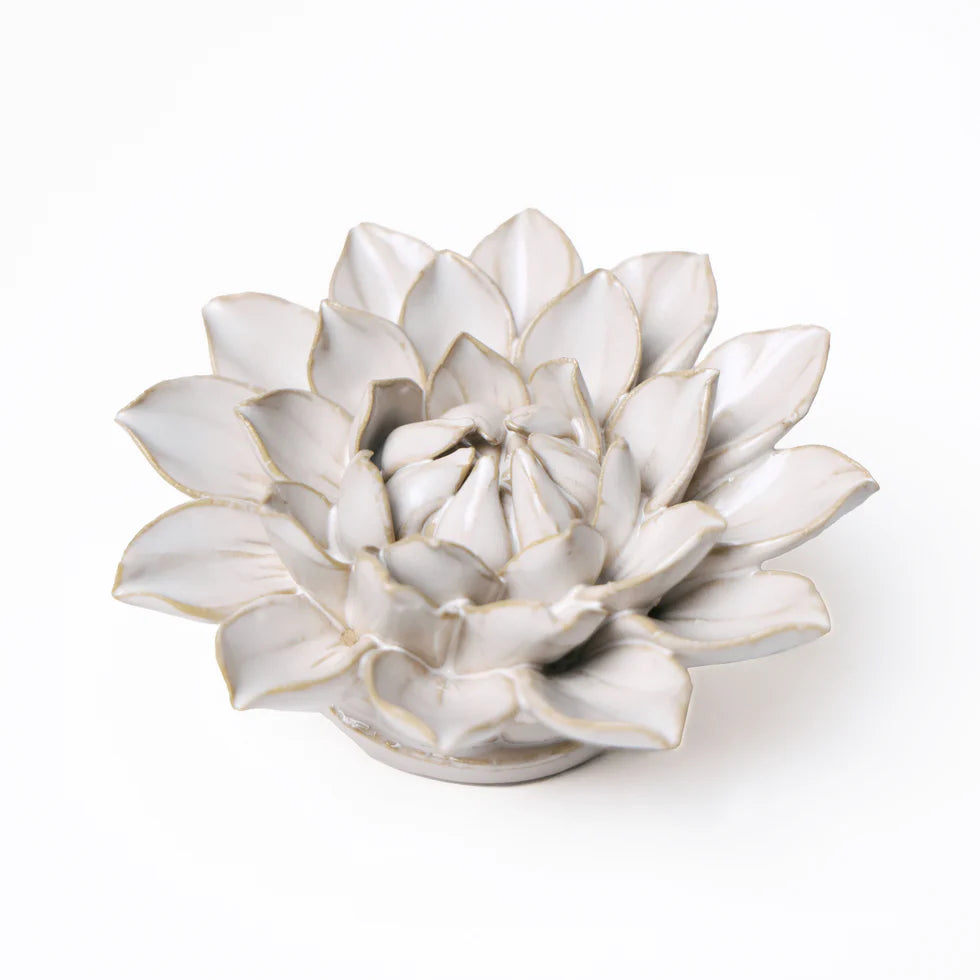 Ivory Dahlia