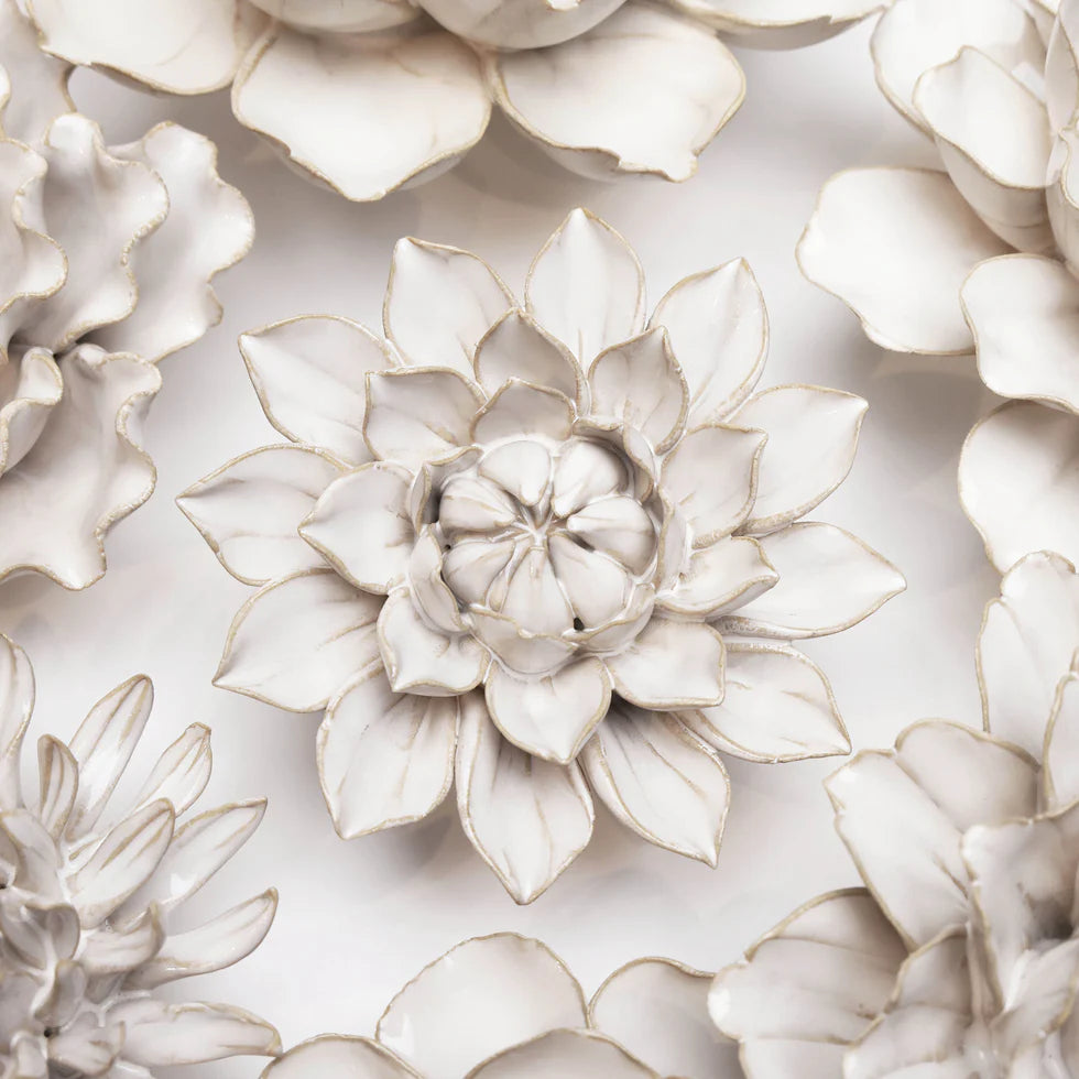 Ivory Dahlia