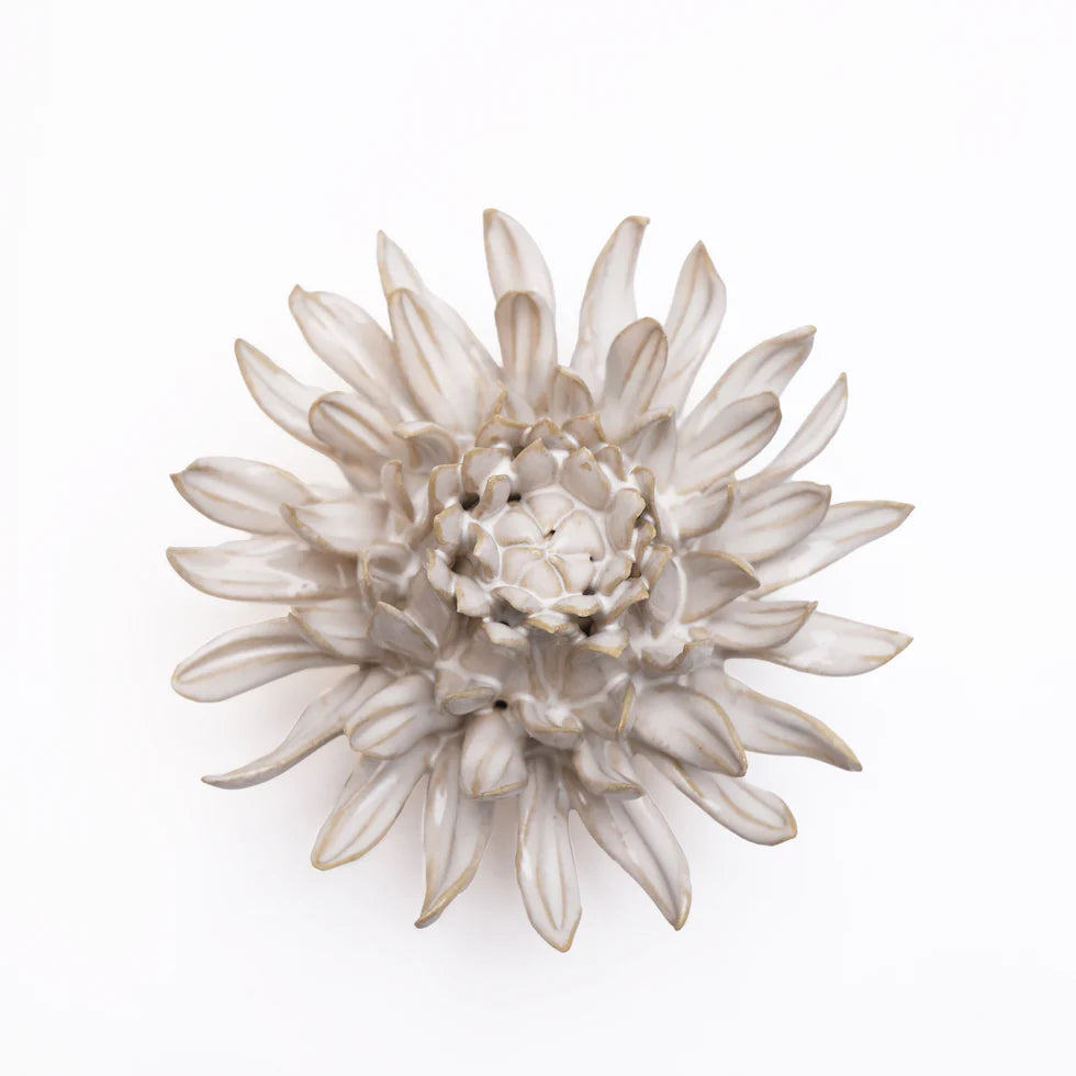Ivory Spider Mum