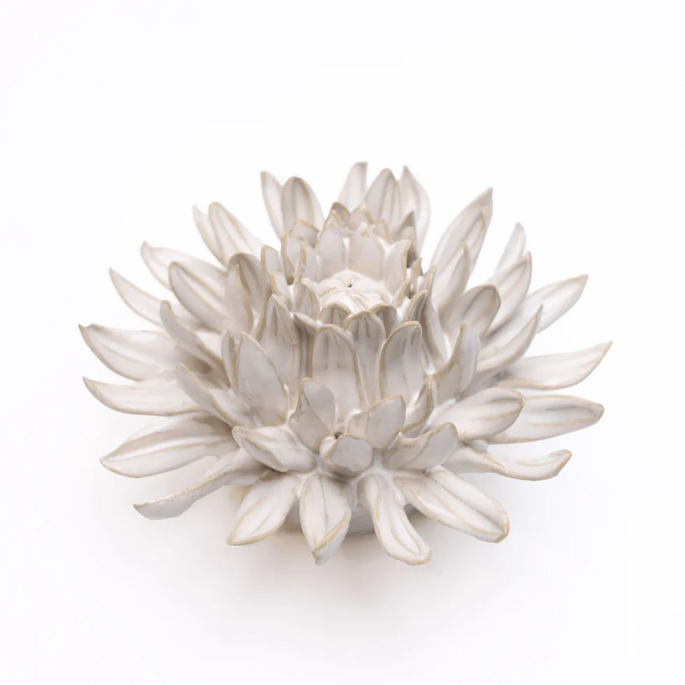 Ivory Spider Mum
