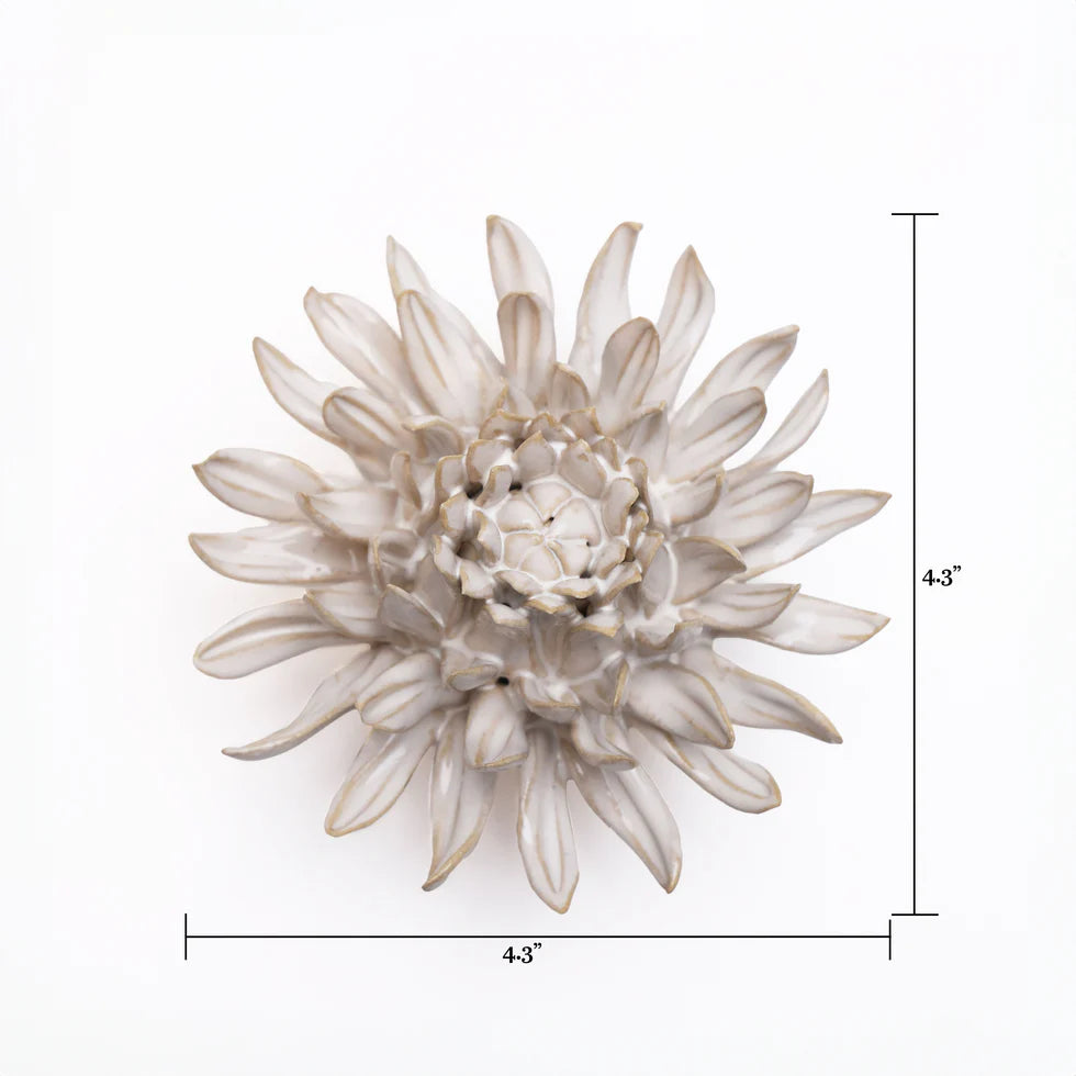 Ivory Spider Mum