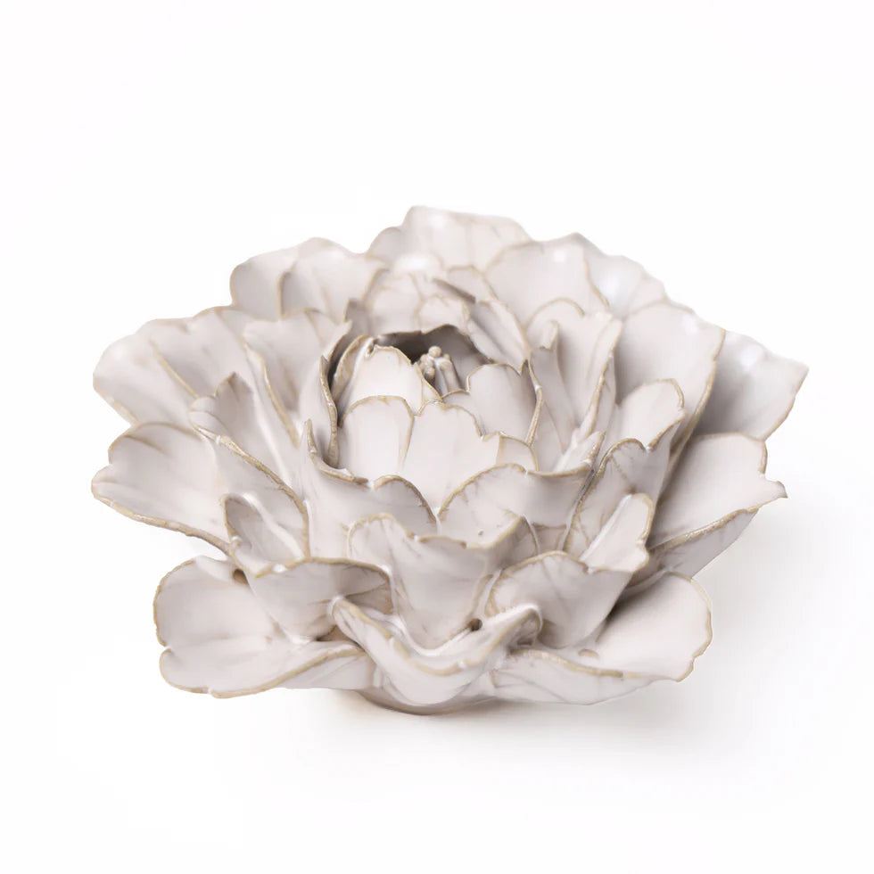 Ivory Comanche Peony