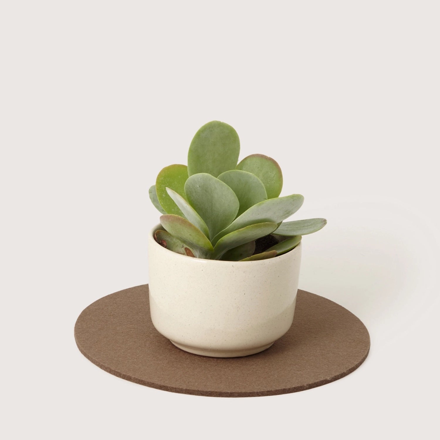 Cumin Round Merino Wool Trivet