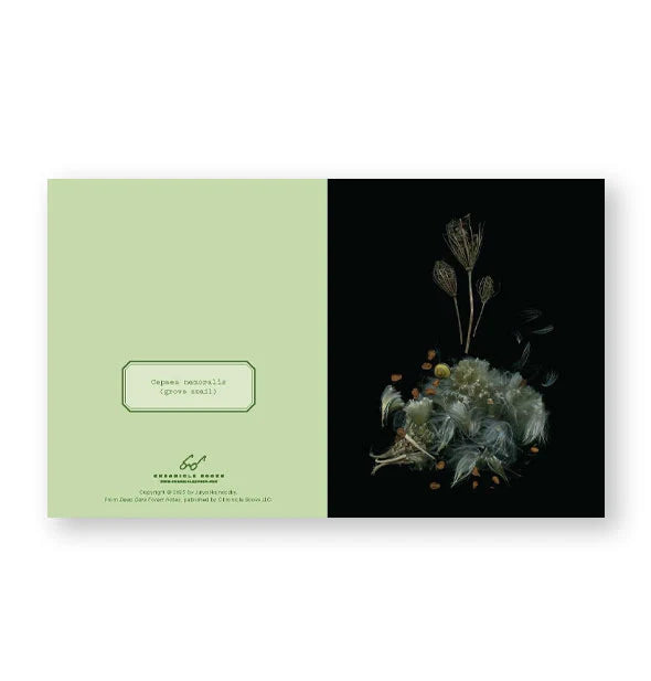 Deep Dark Forest Notecard Set