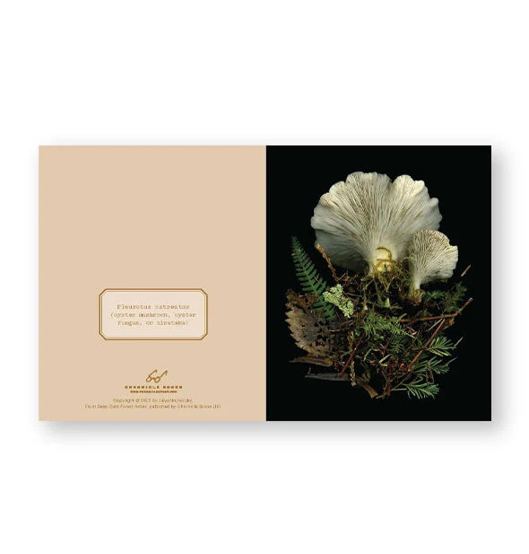 Deep Dark Forest Notecard Set