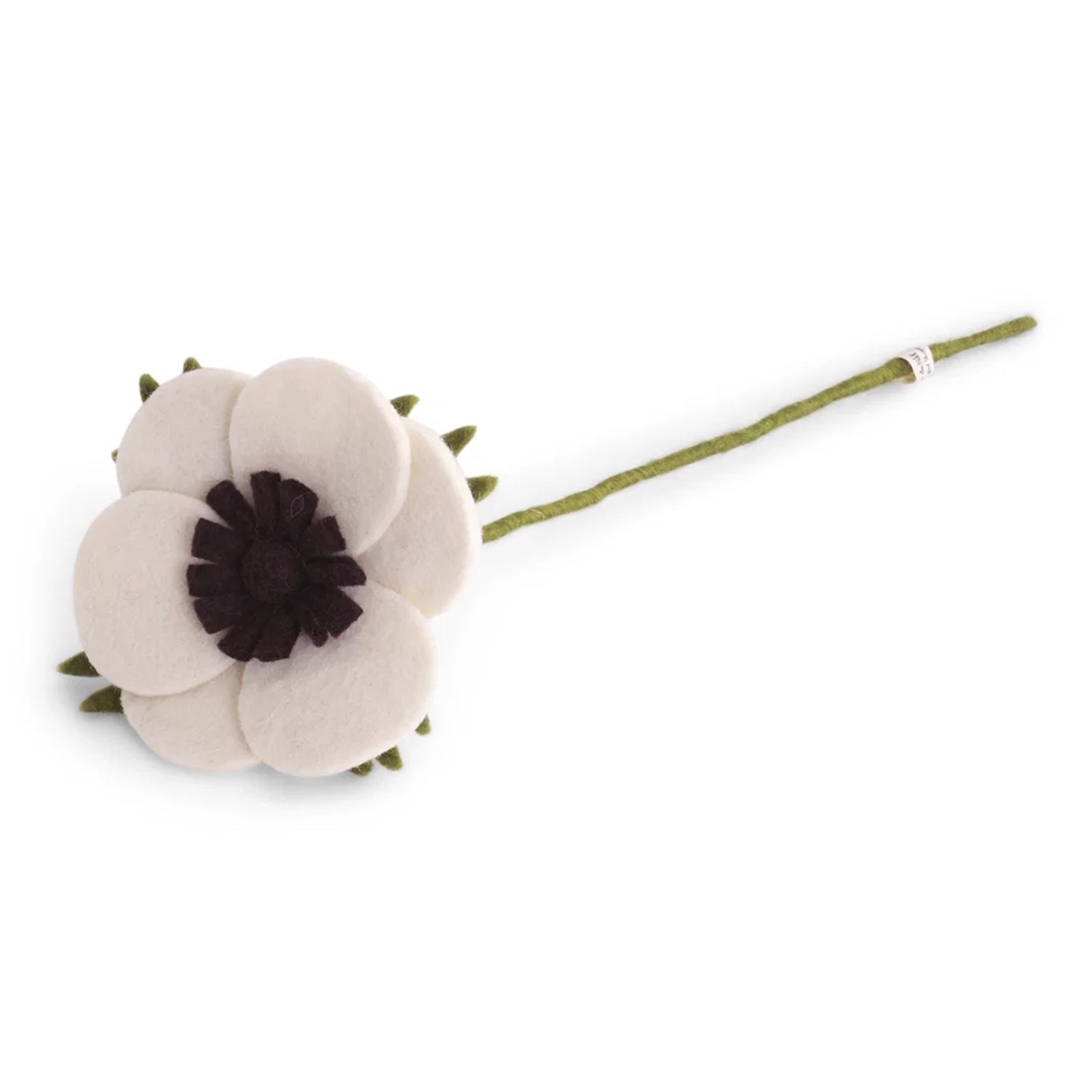 French Anemone - White