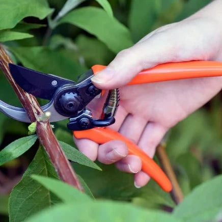 Micro Secateurs