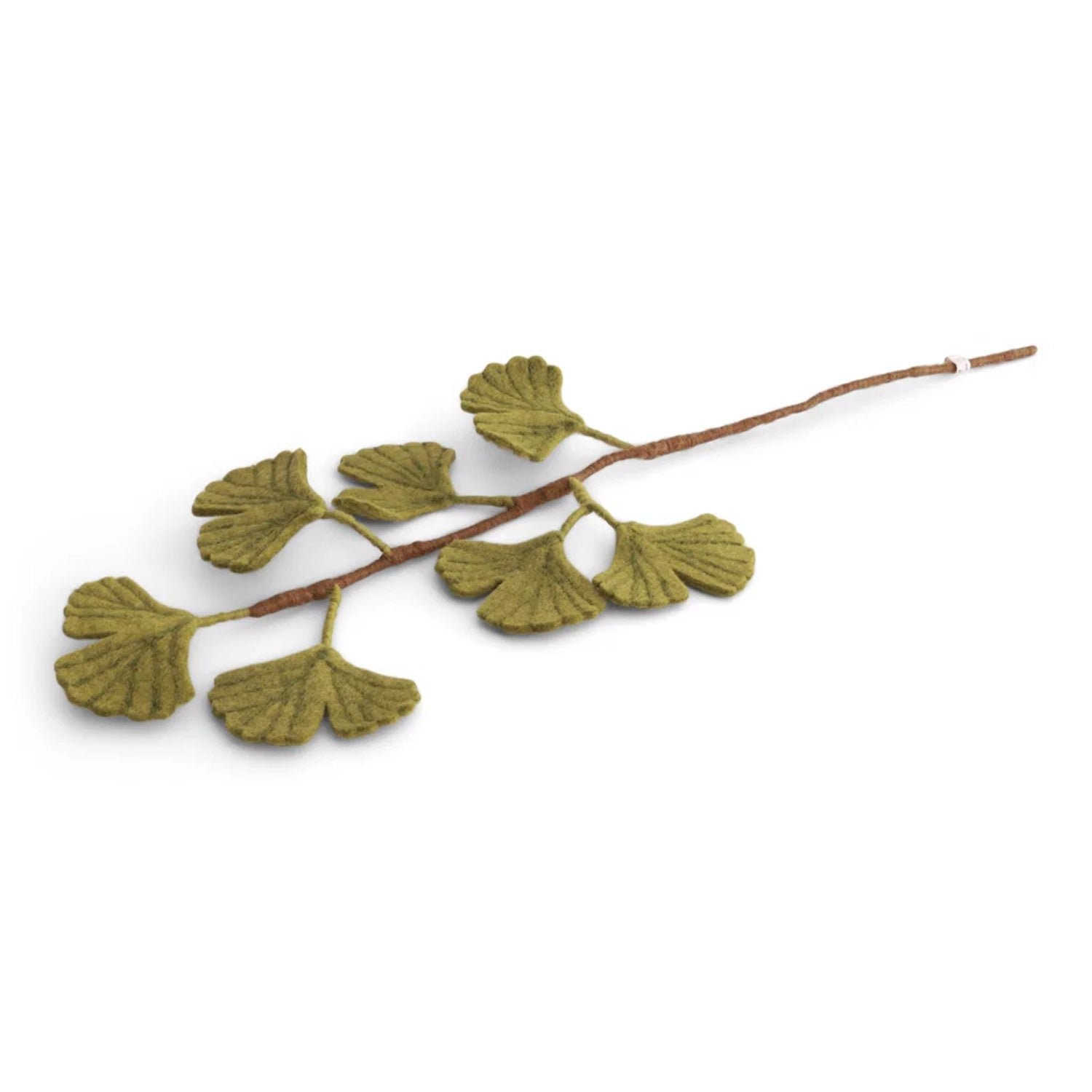 Ginkgo Biloba Branch - Green
