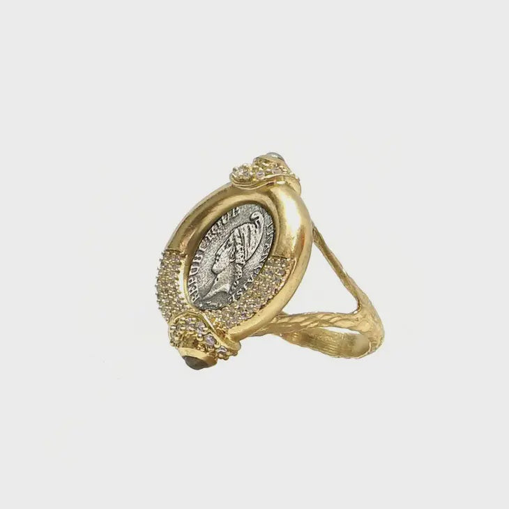 Gold Frame Vs Mini Dupr Ring