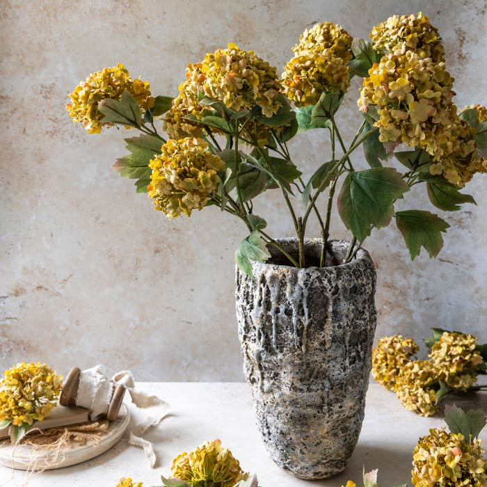 Guelder Rose Stem