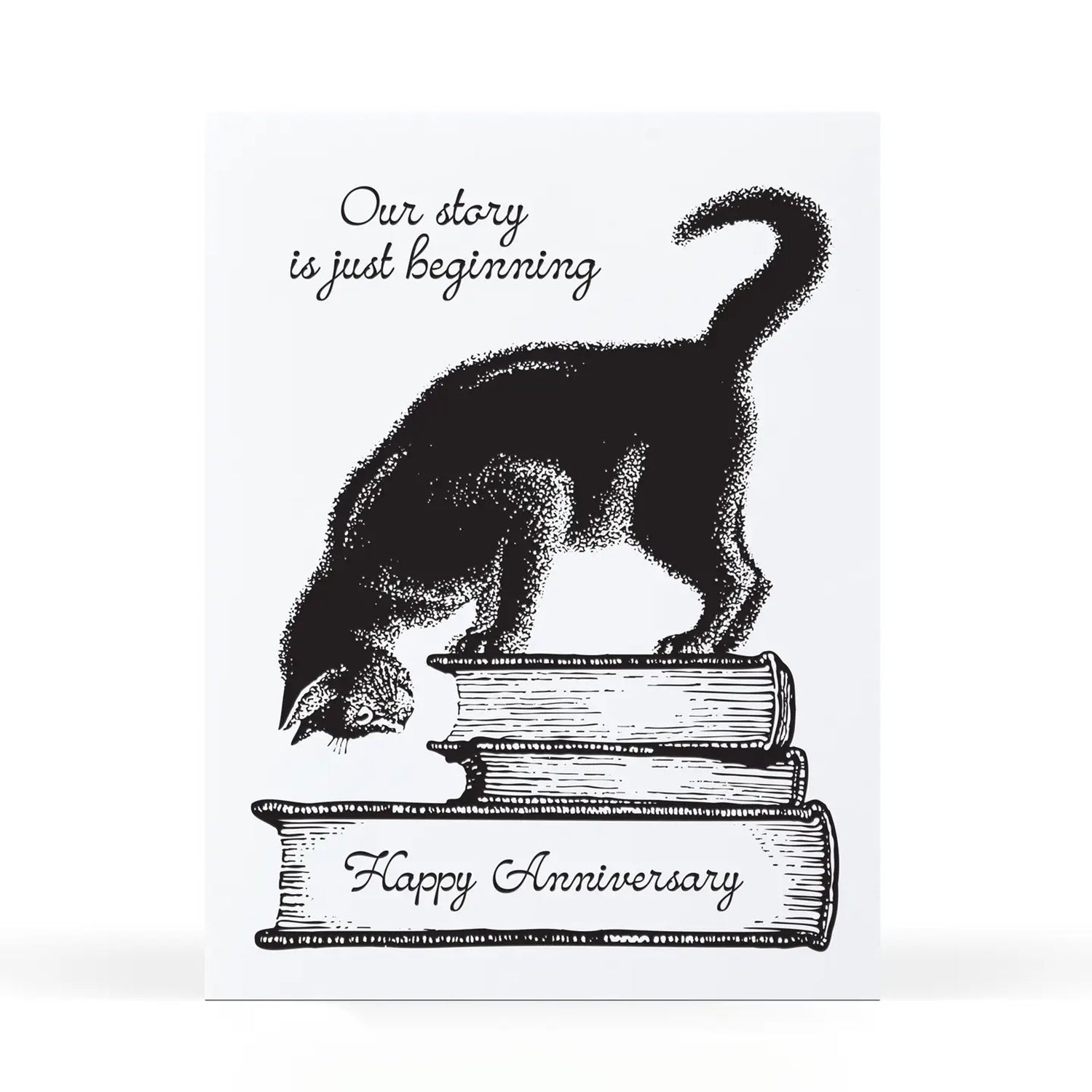 Kitty Anniversary