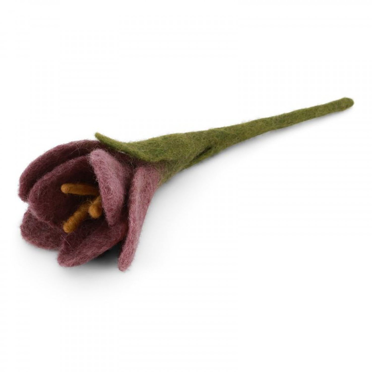 Crocus