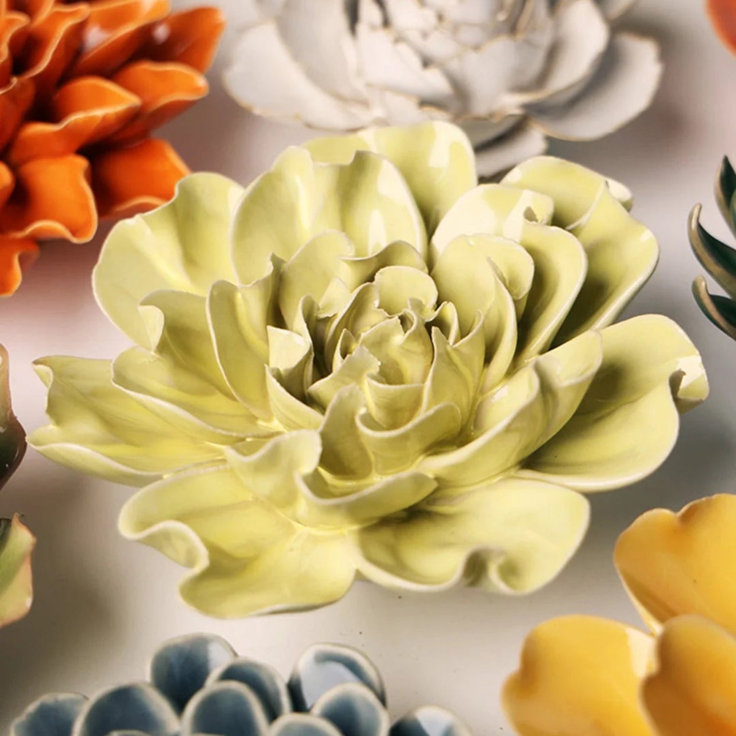 English Garden Lime Larkspur