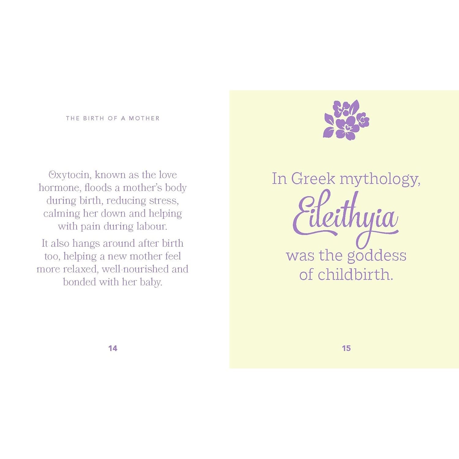The Little Book For Mom