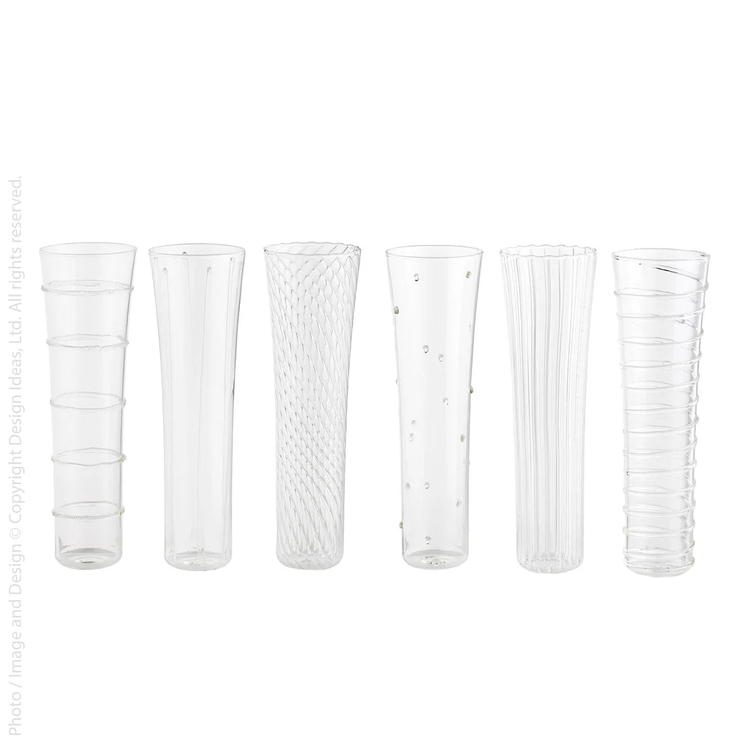 Livenza Champagne Flute Set of 6