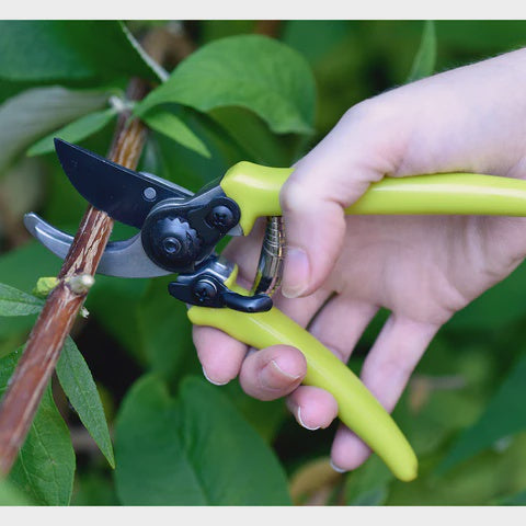 Micro Secateurs