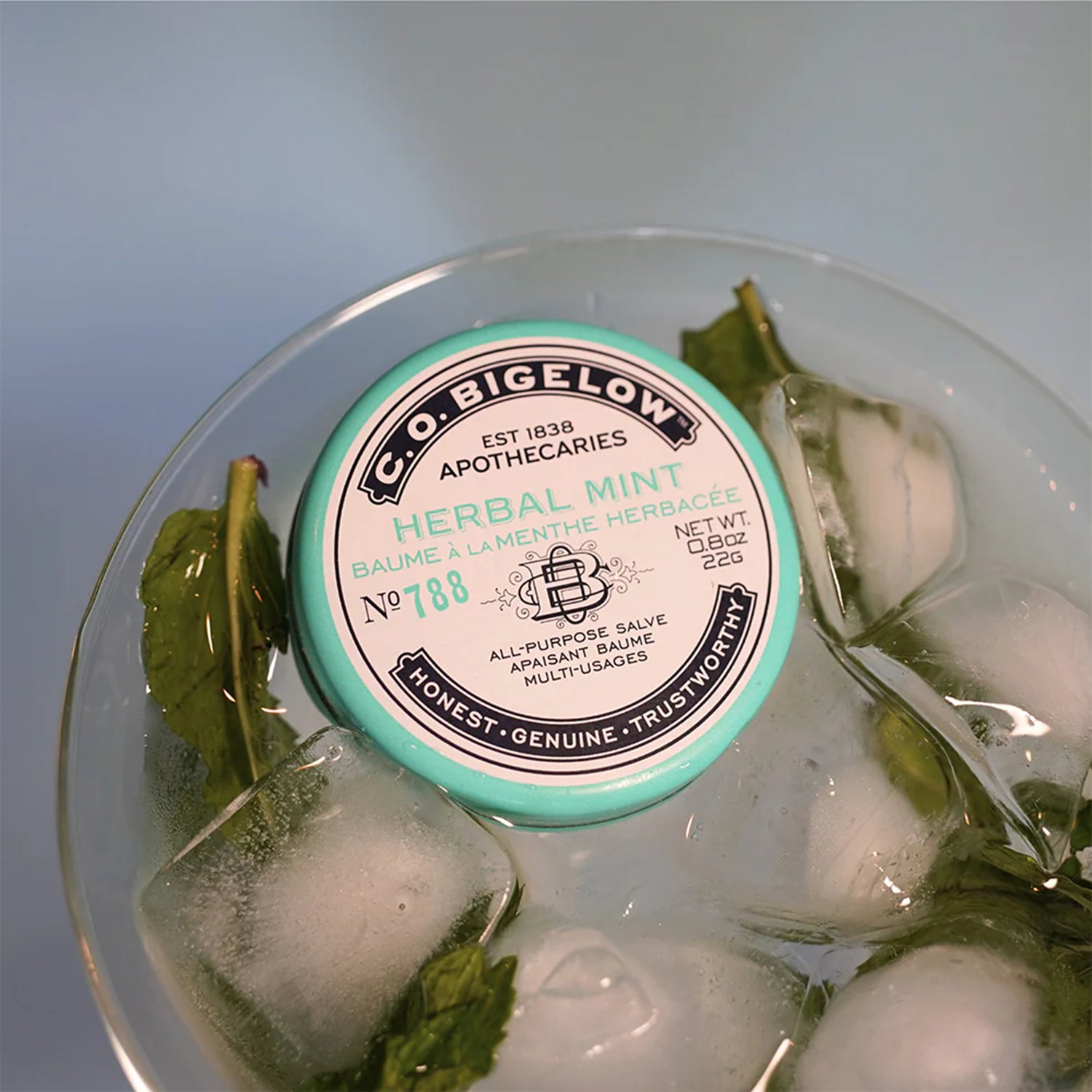 Salve Moisturizer