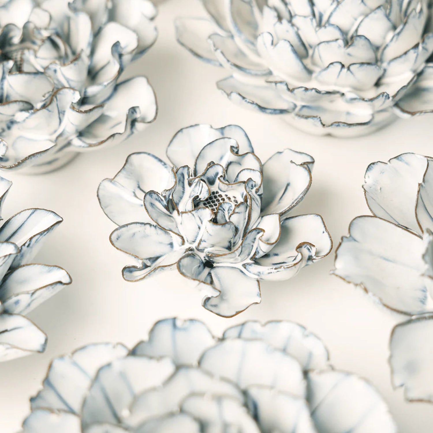 Nantucket Hawthorn 7