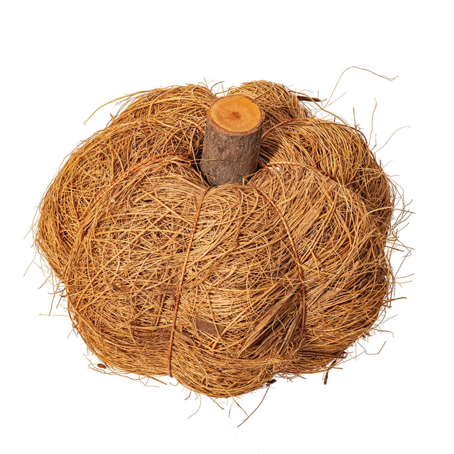 Natural Coir Pumpkin Pack of 4