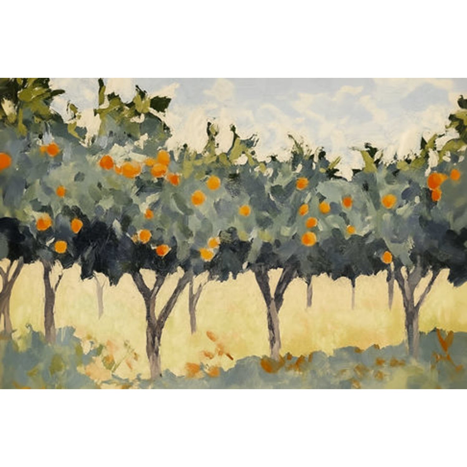 Orange Grove