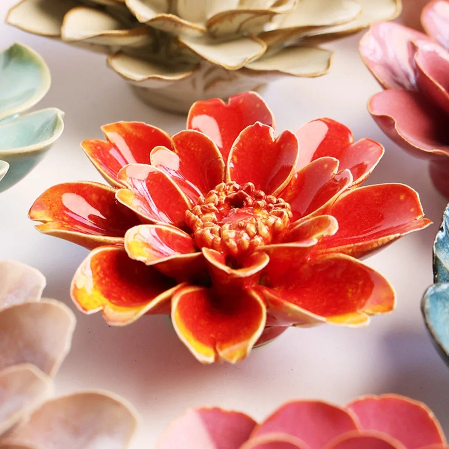 Orange Yellow Paris Daisy