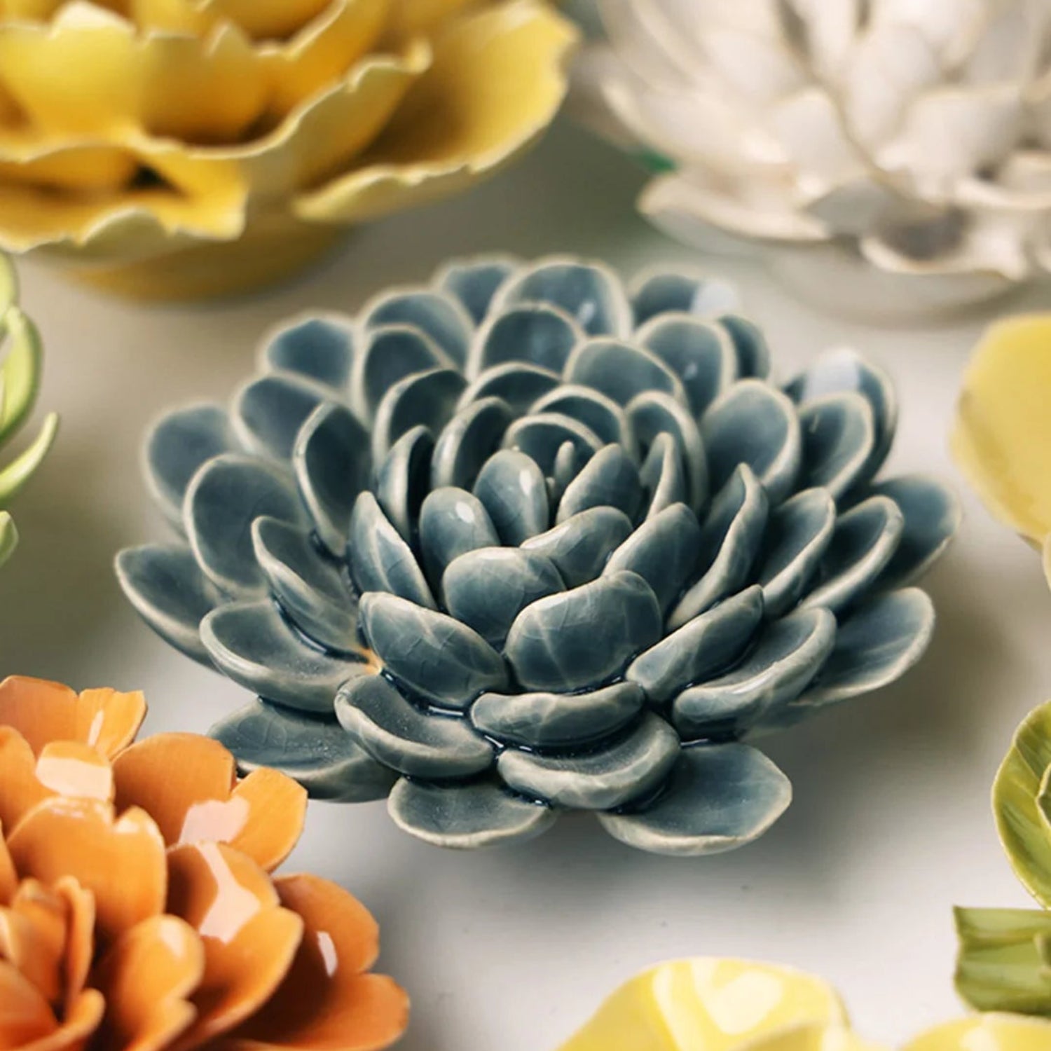 English Garden Pewter Zinderella Zinna