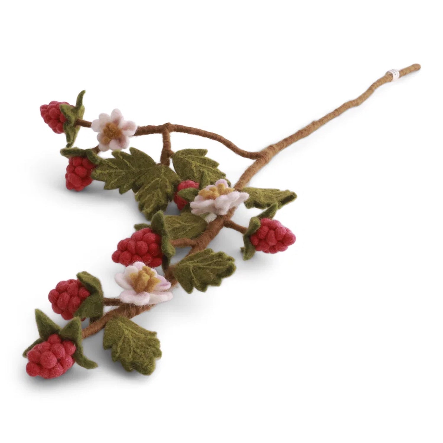 Raspberry Branch