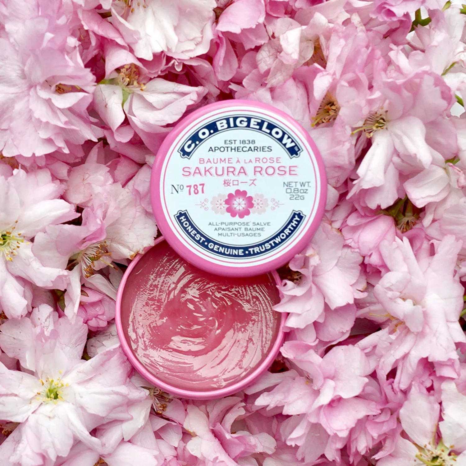 Salve Moisturizer