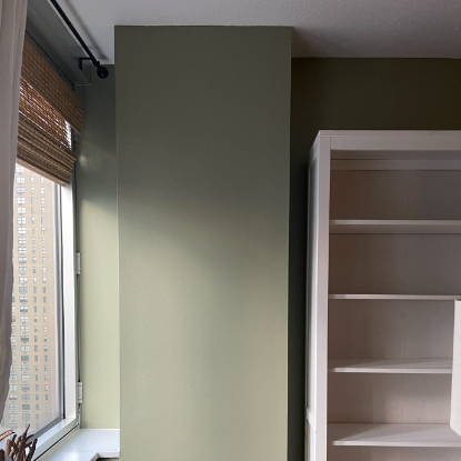 Farrow & Ball Lichen No. 19