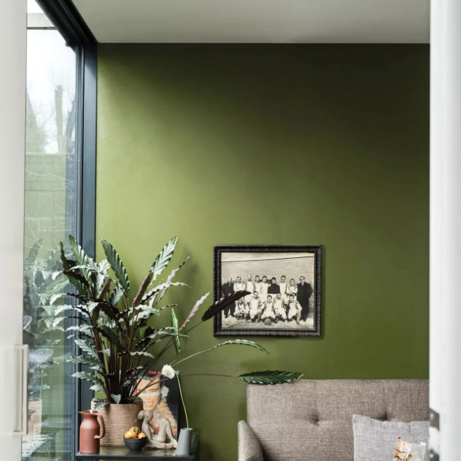 Archived Farrow & Ball Olive No. 13