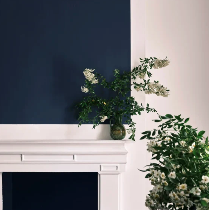 Archived Farrow & Ball Serge No. 9919