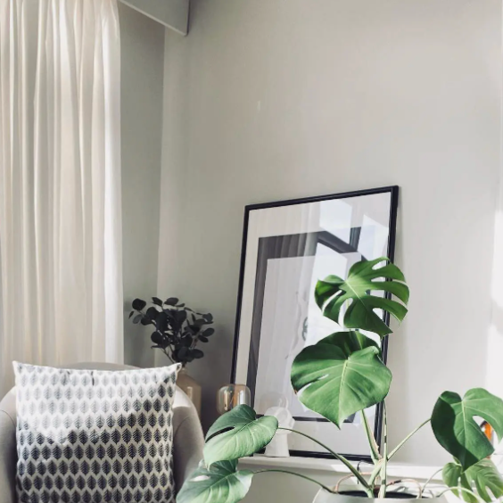 Farrow & Ball Shadow White No. 282