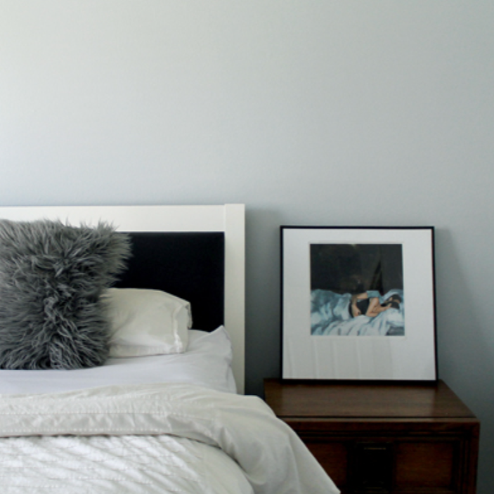 Farrow & Ball Skylight No. 205