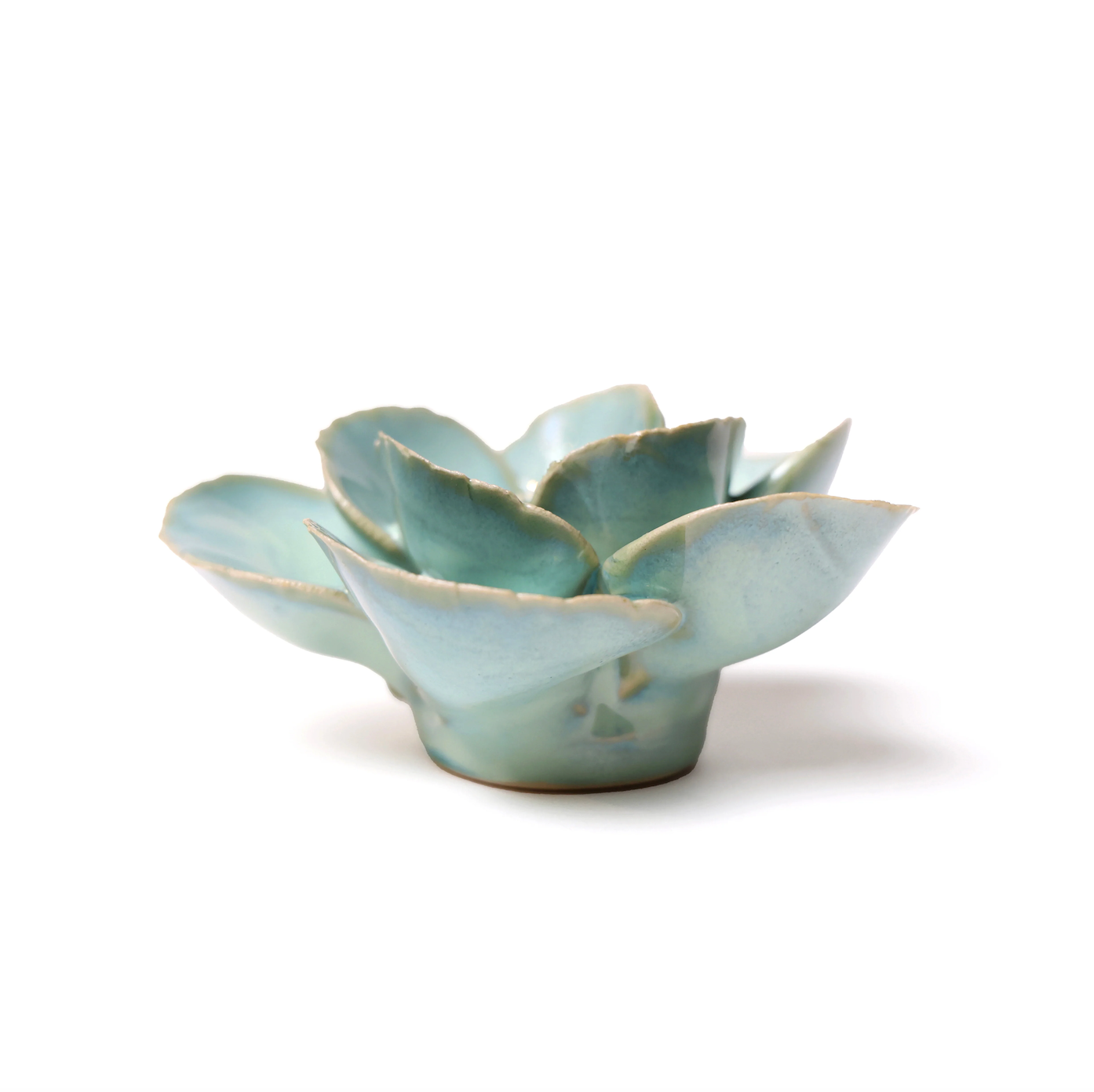 English Garden Teal Lotus