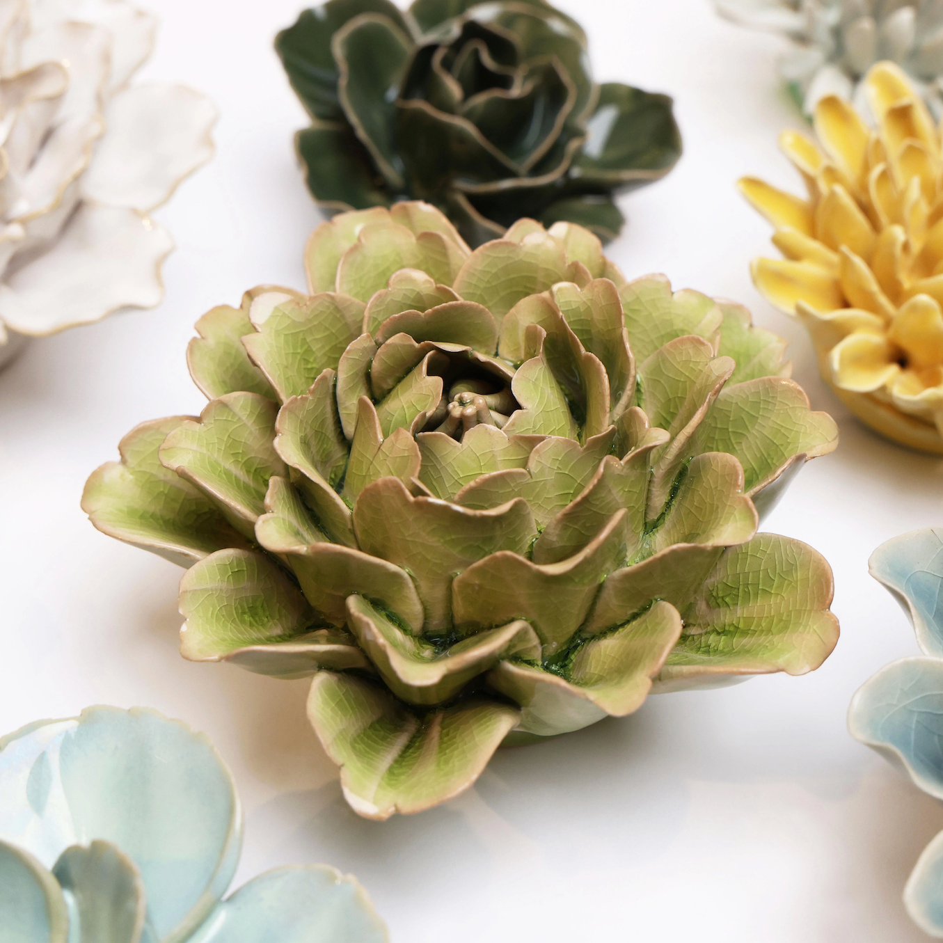 English Garden Green Tree Peony